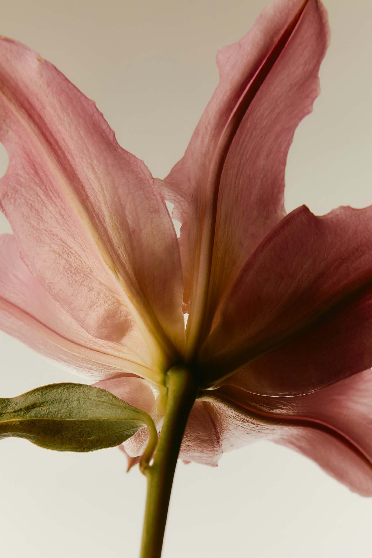 3 Quick Tricks To Calm The Nervous System