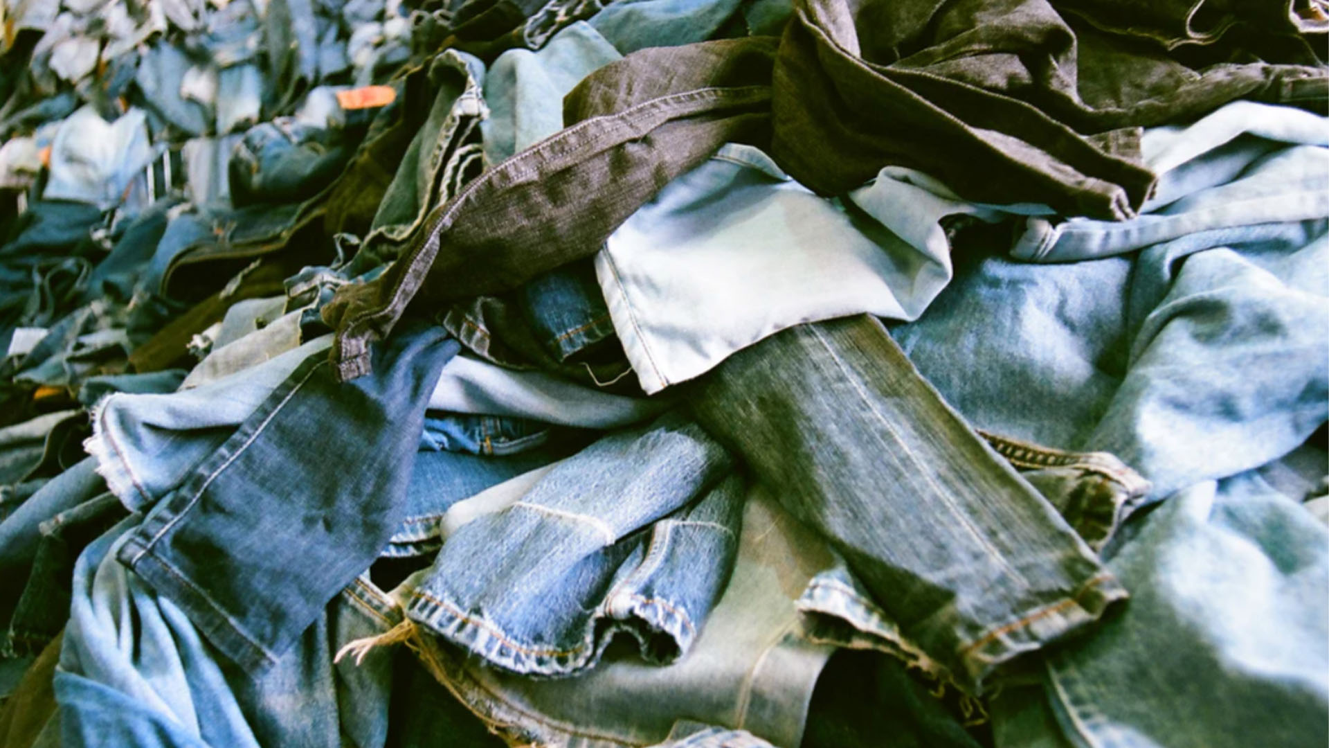 9 Great Jeans Our Editor Just Loves