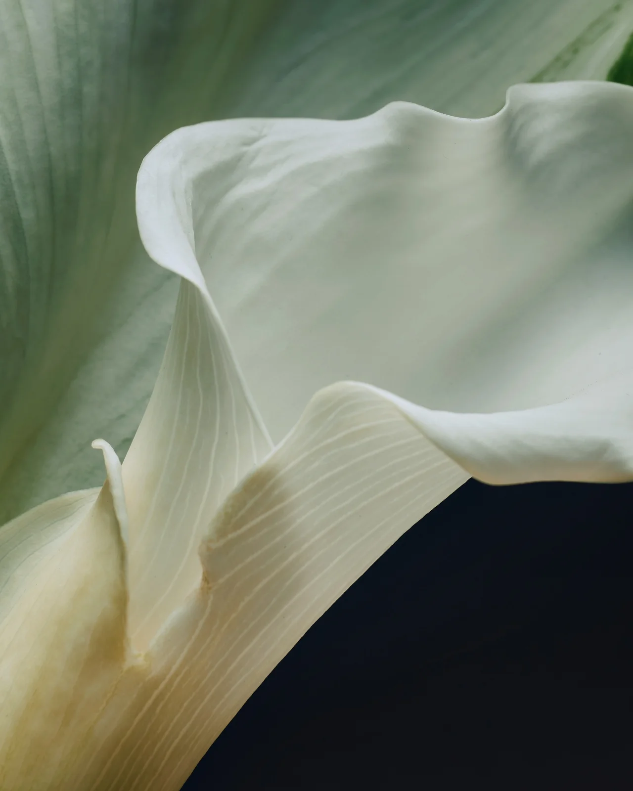 The Healing Power of Nature: Why Time Outdoors Restores More Than We Realise